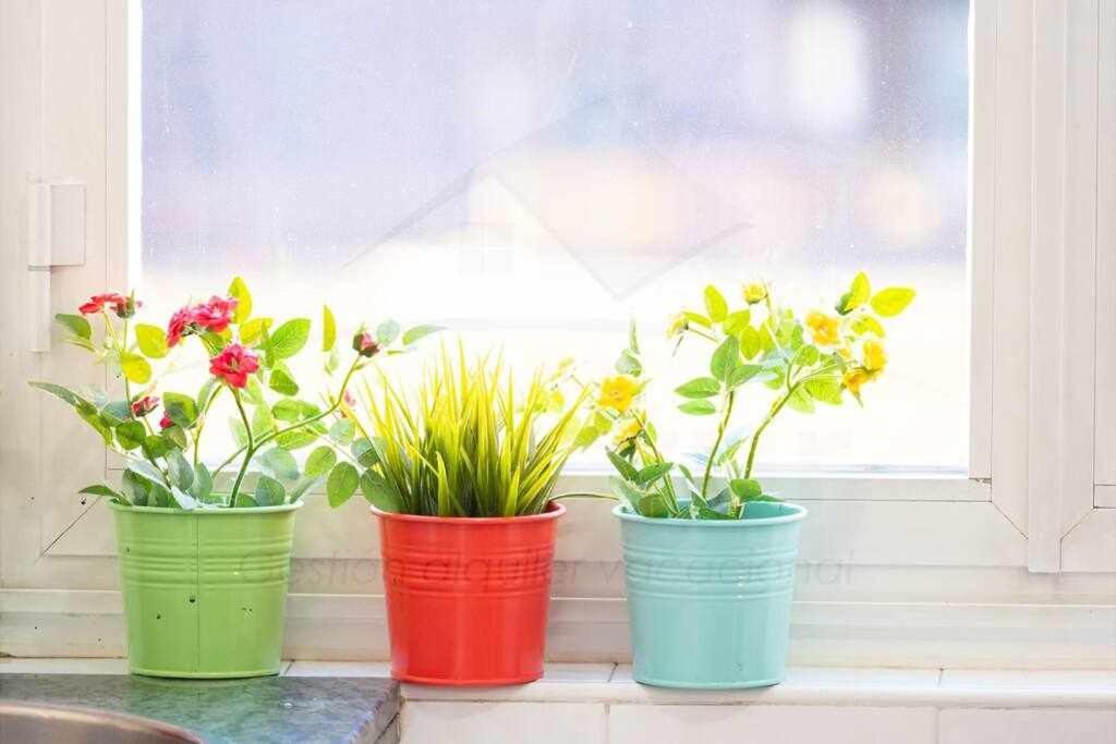 Colours Apartamento اوفيدو المظهر الخارجي الصورة